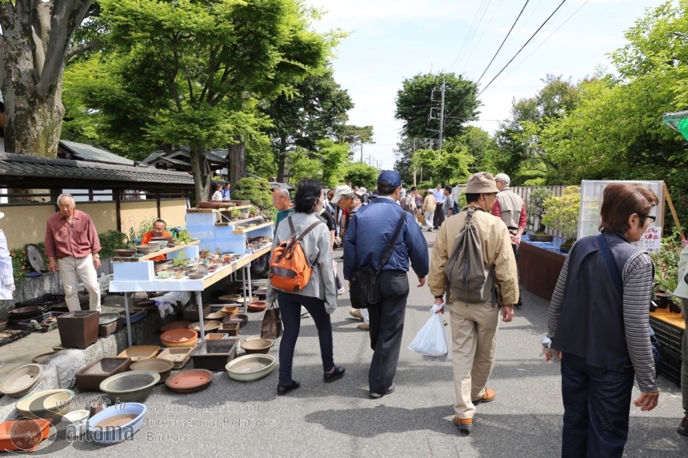 国内外から注目されている大宮盆栽村で開催される盆栽の祭典！第35回大盆栽まつり