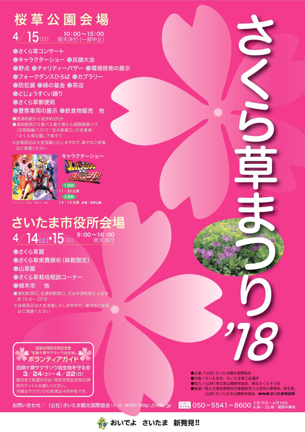 さくら草まつり’18